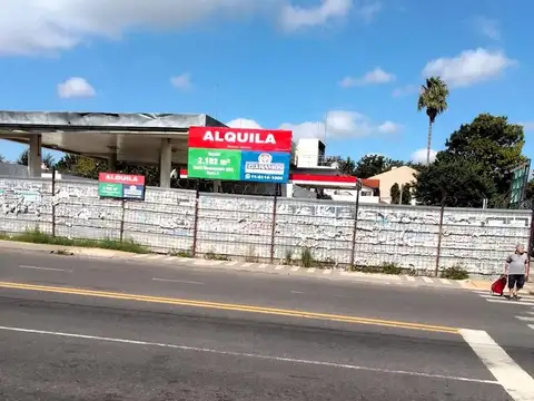 Terreno en Alquiler 38  mts Frente