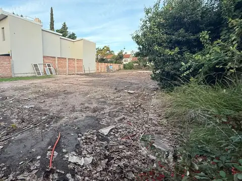 Almafuerte 800