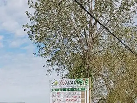 Puerto Argentino 100