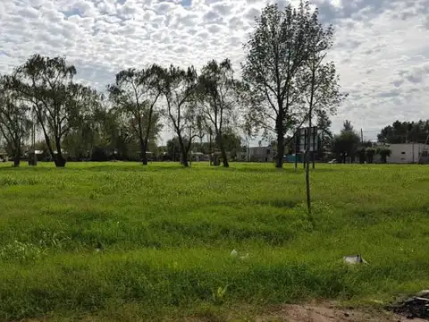 Puerto Argentino 100