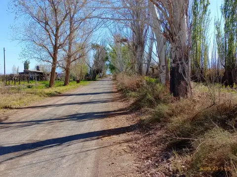 VENTA-FINCA-TULUMAYA-LAVALLE