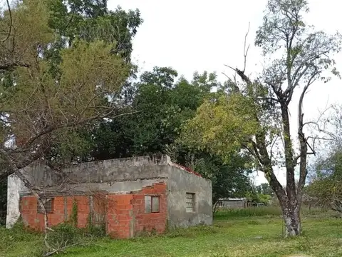 Publica
