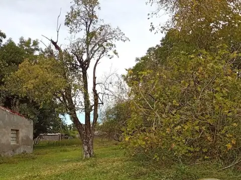 Terreno 1250m²