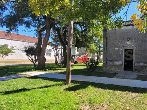 San Martin 513