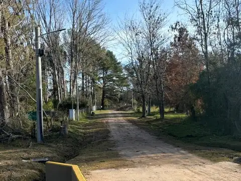 LOS PINOS II - RUTA 8 KM 71- .
