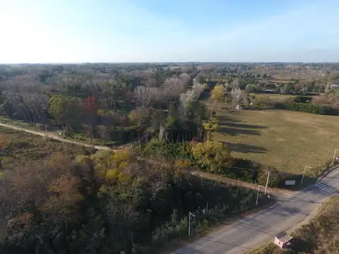 LOS PINOS II - RUTA 8 KM 71- .