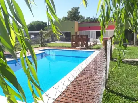 Ameghino Y Virasoro