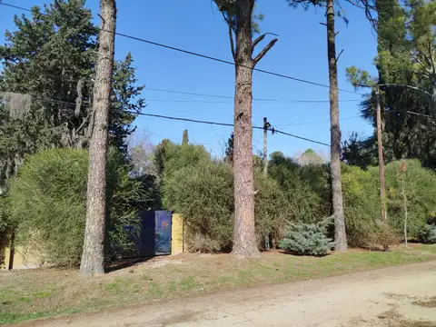 Terreno - Venta - Argentina, Roldan - patagones 169