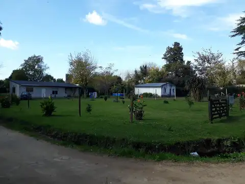 Cedros Y Morera