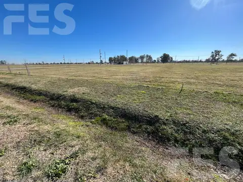 VENTA DE LOTE - FINCAS JOVEN, SAN VICENTE PBA ZONA SUR