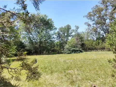 Terreno en Venta 25  mts Fondo
