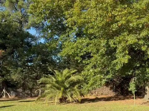 Terreno en Venta 16  mts Frente