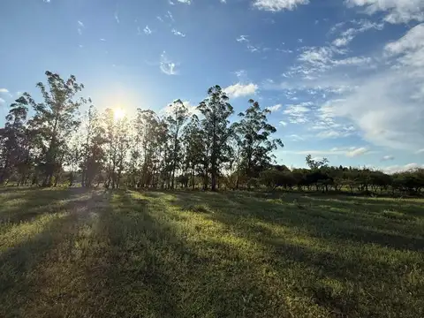 Combate de los Mojones