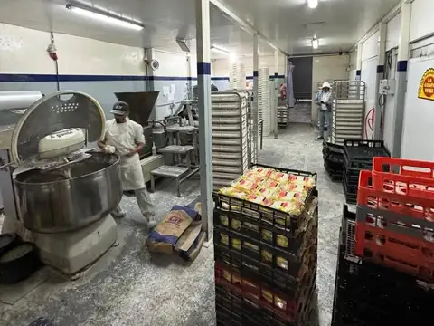 Galpon en Venta en Piñeyro, USD 400.000