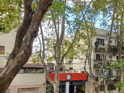 Bonpland  al 1500 Palermo CABA