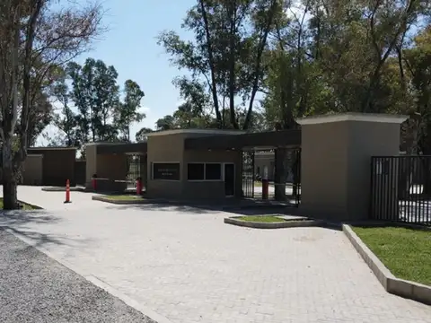 blas parera 5100