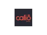 Calio Propiedades, Activos de Valor