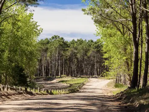 Km 374, Ruta Provincial Interbalnearia Nro. 11 1200, Piso 0