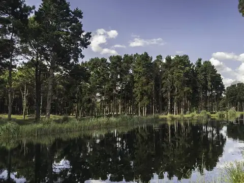 Km 374, Ruta Provincial Interbalnearia Nro. 11 1200, Piso 0