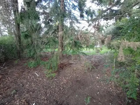 Terreno en Venta 20  mts Fondo