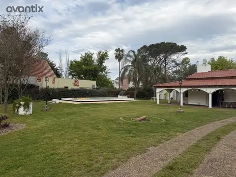 Las Camelias 240