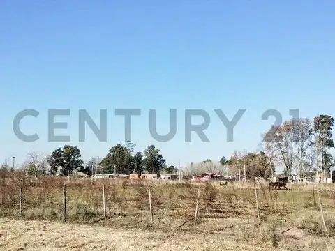 VENTA DE CAMPO BRANDSEN 2.5 HECTAREAS INVERSOR