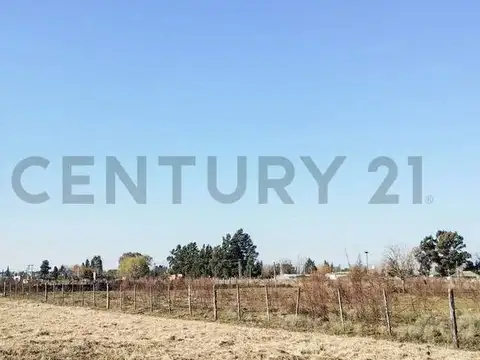VENTA DE CAMPO BRANDSEN 2.5 HECTAREAS INVERSOR