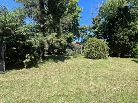 Coronel Charlone 3100