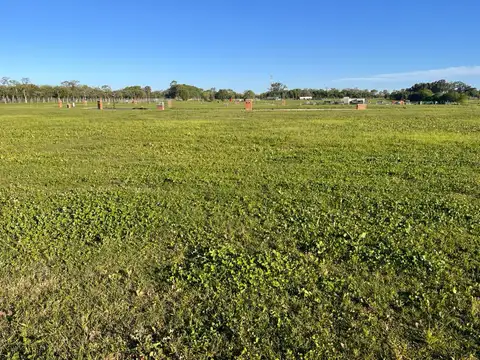 Terreno en Venta de 620,0 m2