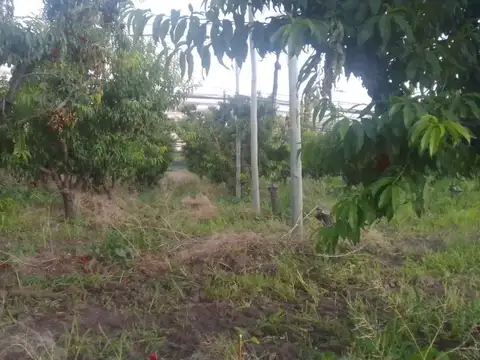 Quinta en Venta en Rama Caida, USD 46.500