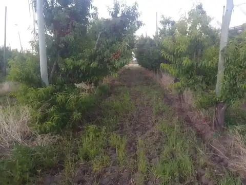 Quinta en Venta en Rama Caida, USD 46.500