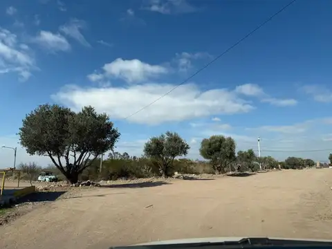 VENTA DE LOTE 2000 M B° MAGDALENA DE OLIVAR