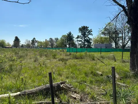 Terreno en Venta 55  mts Fondo