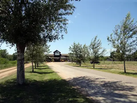 Terreno en Barrio Villa Elena , Oliveros Santa Fe 