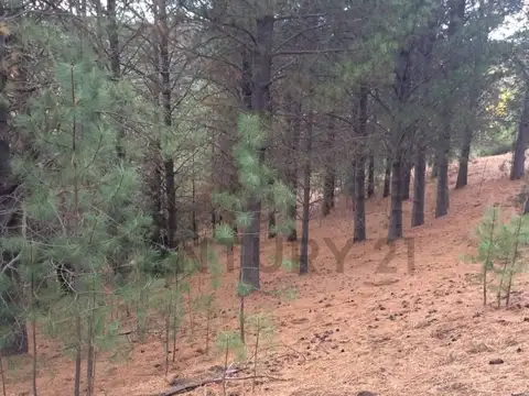 Terreno en Venta en Ruca Hue, USD 400.000