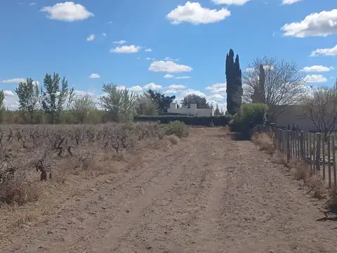 Venta terreno 8ha en general alvear mendoza