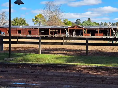 Casa en Venta en Countries y Barrios Cerrados en Campana, USD 248.000