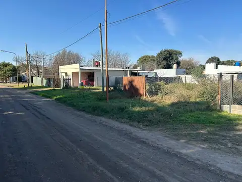 S. Rodriguez 50