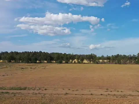 4 Has. Chacras en Los Cardales