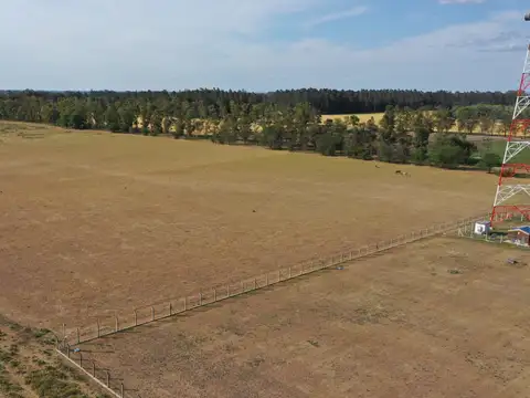 4 Has. Chacras en Los Cardales