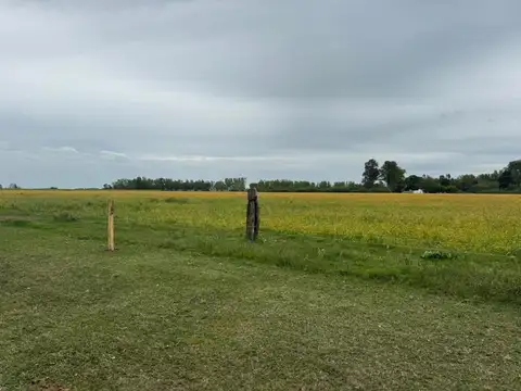 Campo en Venta de 20  ha