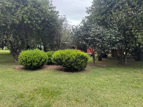 Uribelarrea