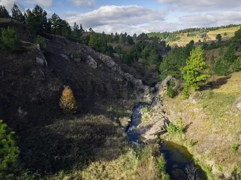 Terreno en Venta de 5000,0 m2