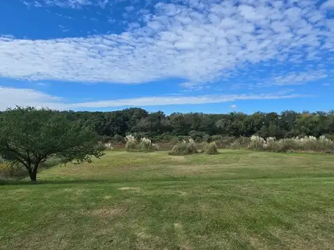 Terreno en Venta en Oliveros, Iriondo