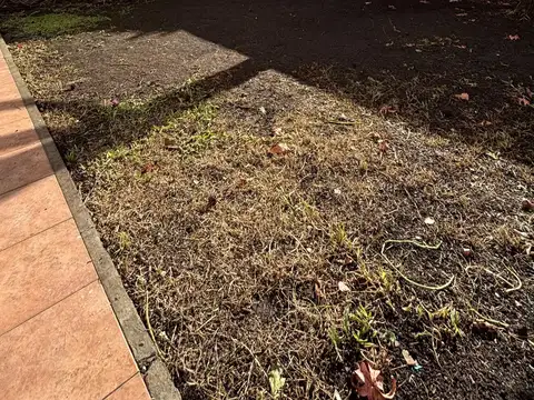 Depto Tipo Casa en Alquiler de 2 dormitorios