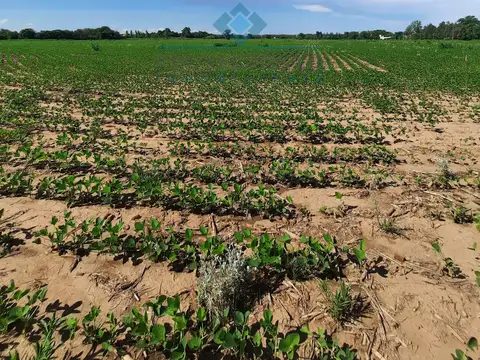 VENTA-QUINTA DE 11 HAS CON RIEGO Y CASA 3 DORM- PUESTO VIEJO