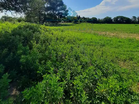 Quinta en Venta en Colonia Caroya, USD 245.000