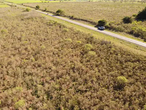 Campo en Venta de 1  ha