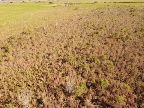 Campo en Venta Turístico