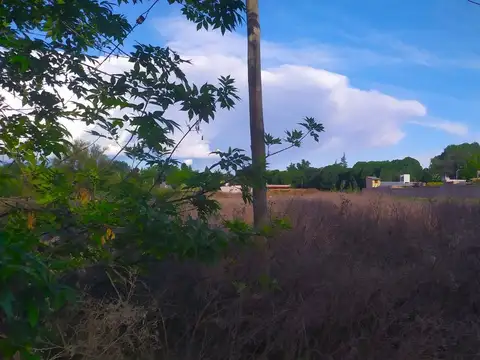 MAGNÍFICO TERRENO TUNUYÁN LATERAL RUTA 40